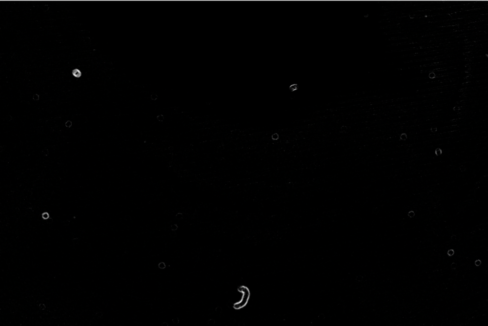 How To Clean Fujifilm Sensors Tools, Methods & Tips!